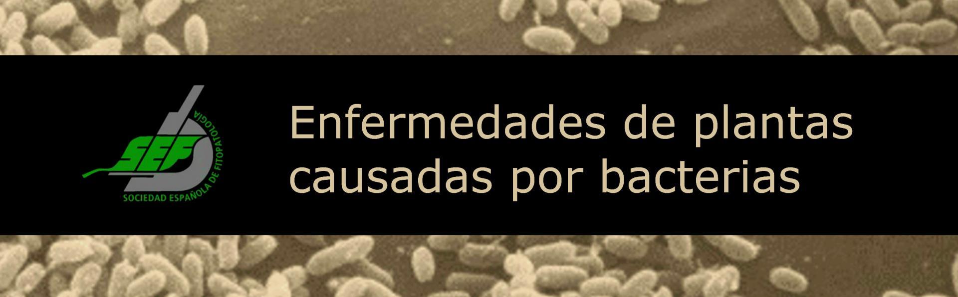 librobacterias