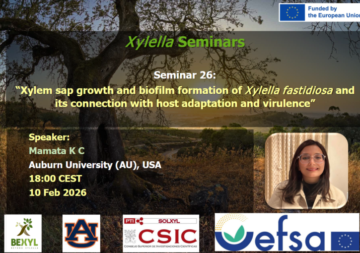 Imagen destacada de Seminario: «Xylem sap growth and biofilm formation of Xylella fastidiosa and its connection with host adaptation and virulence»