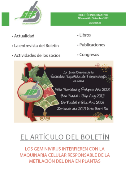 Diciembre/2012