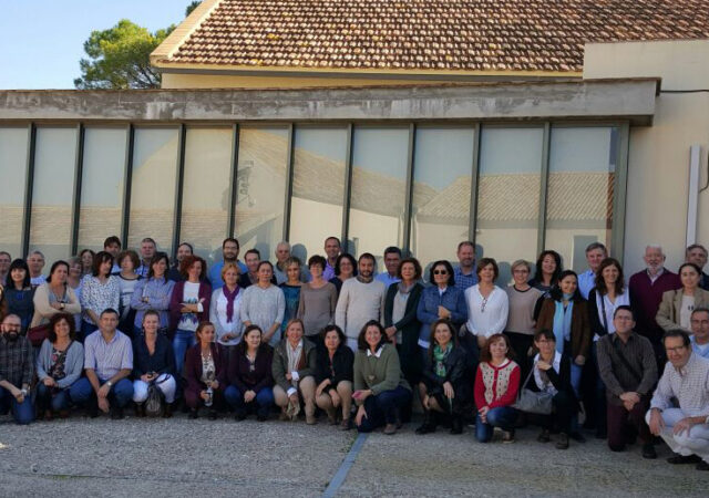 II Reunión del GEDDI-SEF (Sevilla 2015)