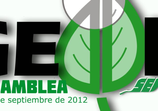 Imagen destacada de I Asamblea del GEDDI-SEF