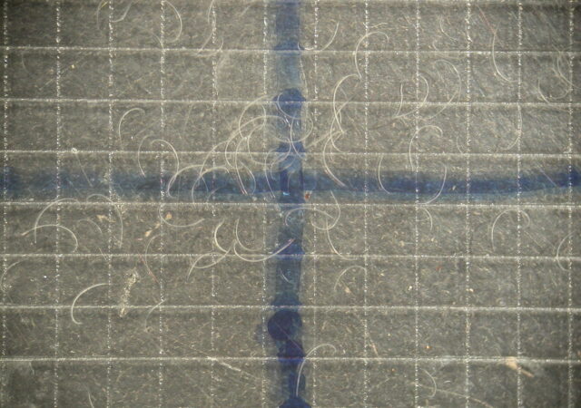 ITA64