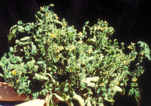 RSM140