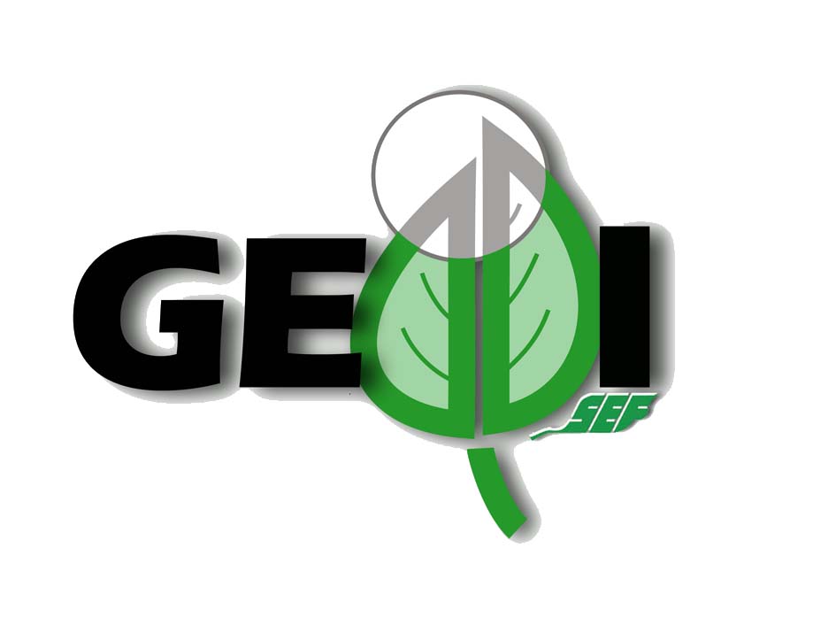 logo GEDDI