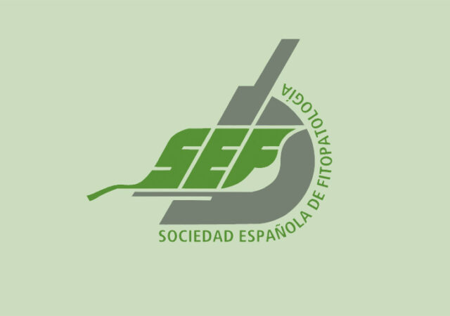 Relación de candidatos para la renovación de la Junta Directiva de la SEF 2026