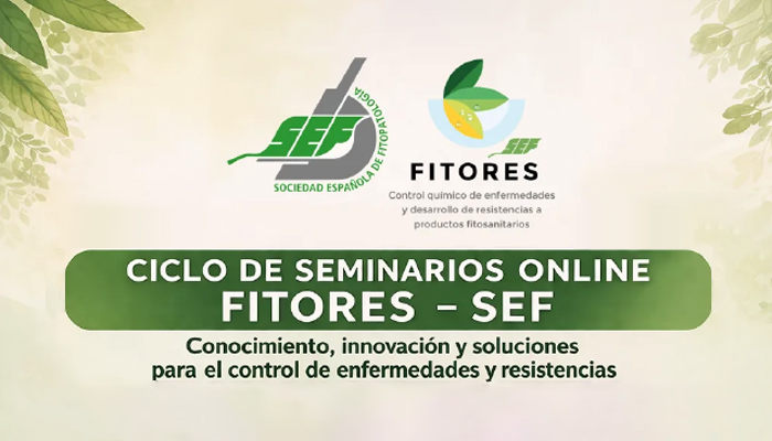 Imagen destacada de Ciclo de Seminarios FITORES-SEF