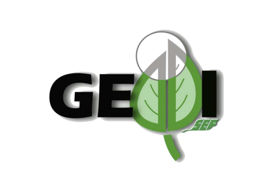 Logotipo de Geddi.