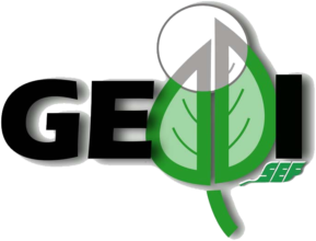 Logotipo GEDDI-SEF