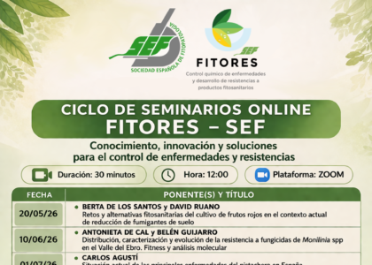 Imagen destacada