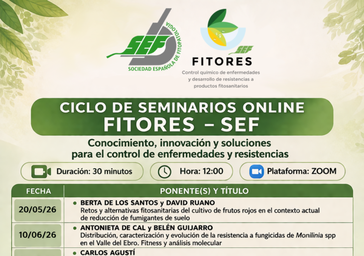 Imagen destacada de Ciclo de Seminarios FITORES-SEF 4º Seminario